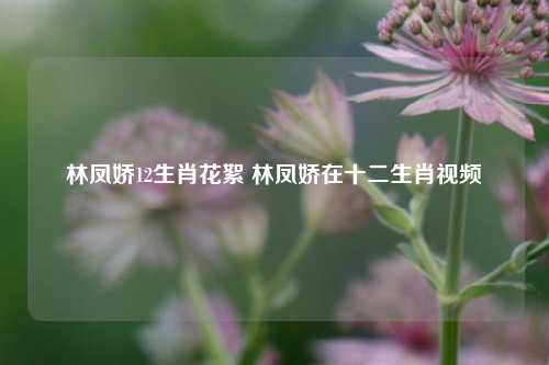 林凤娇12生肖花絮 林凤娇在十二生肖视频