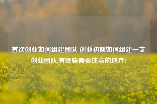 首次创业如何组建团队 创业初期如何组建一支创业团队,有哪些需要注意的地方?