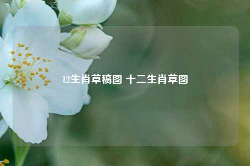 12生肖草稿图 十二生肖草图