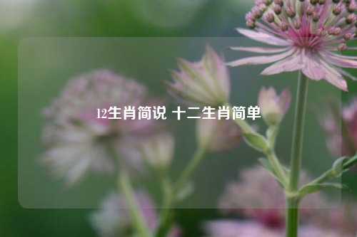 12生肖简说 十二生肖简单