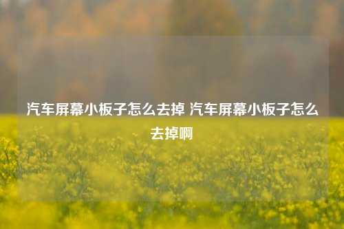 汽车屏幕小板子怎么去掉 汽车屏幕小板子怎么去掉啊