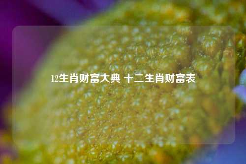 12生肖财富大典 十二生肖财富表