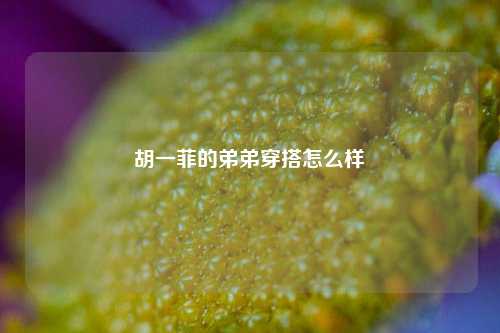 胡一菲的弟弟穿搭怎么样