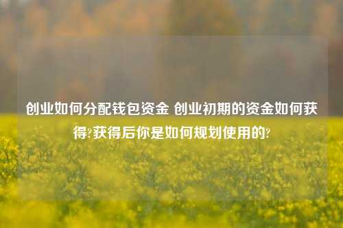 创业如何分配钱包资金 创业初期的资金如何获得?获得后你是如何规划使用的?