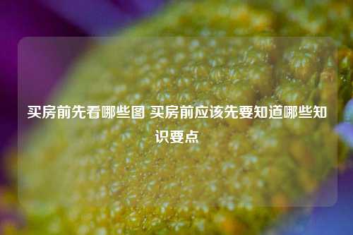 买房前先看哪些图 买房前应该先要知道哪些知识要点