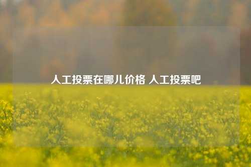 人工投票在哪儿价格 人工投票吧