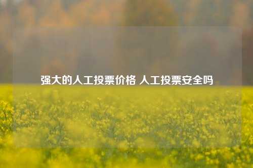 强大的人工投票价格 人工投票安全吗