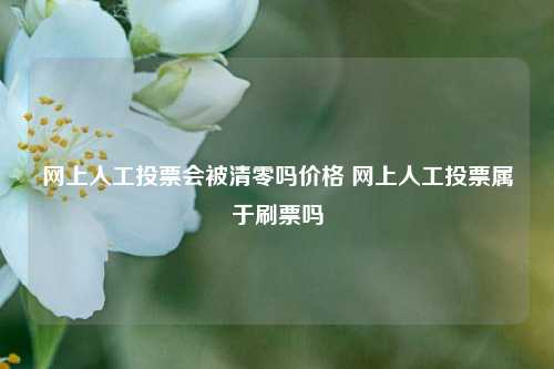 网上人工投票会被清零吗价格 网上人工投票属于刷票吗