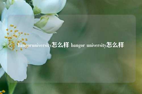 bangoruniversity怎么样 bangor university怎么样