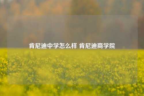 肯尼迪中学怎么样 肯尼迪商学院