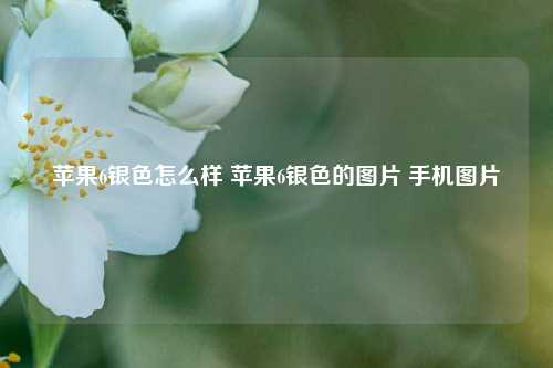 苹果6银色怎么样 苹果6银色的图片 手机图片