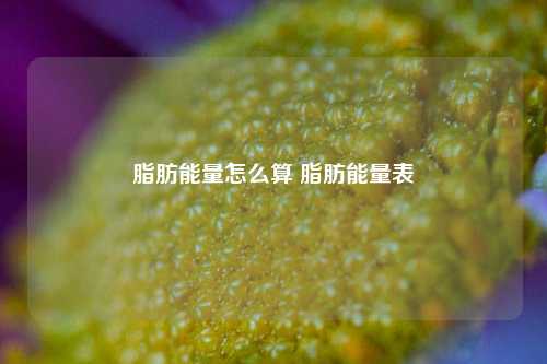 脂肪能量怎么算 脂肪能量表