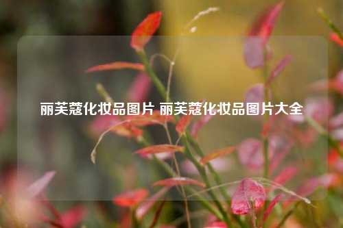 丽芙蔻化妆品图片 丽芙蔻化妆品图片大全