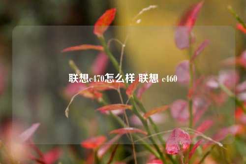 联想c470怎么样 联想 c460