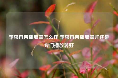 苹果自带播放器怎么样 苹果自带播放器好还是专门播放器好