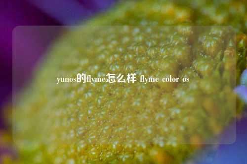 yunos的flyme怎么样 flyme color os