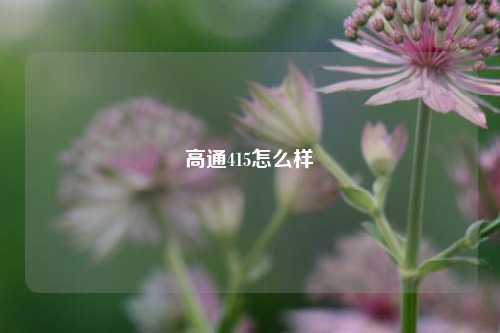 高通415怎么样