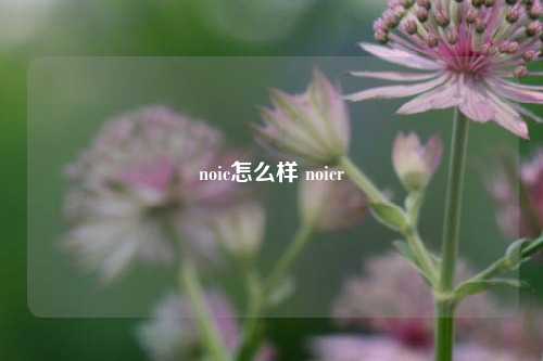 noic怎么样 noicr