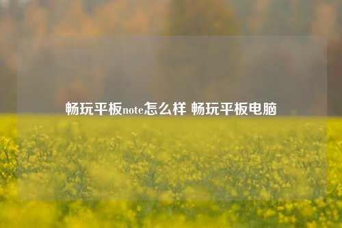 畅玩平板note怎么样 畅玩平板电脑