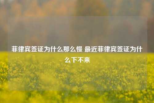 菲律宾签证为什么那么慢 最近菲律宾签证为什么下不来