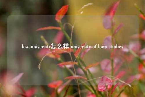 lowauniversity怎么样 university of lowa studies