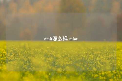 nmit怎么样 mint