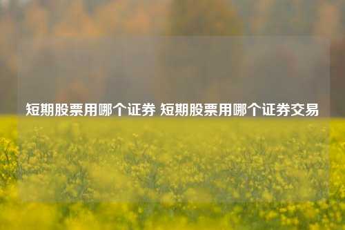 短期股票用哪个证券 短期股票用哪个证券交易