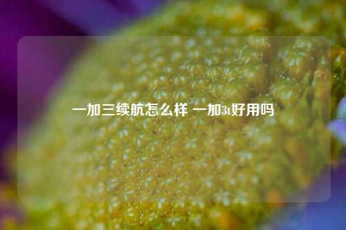 一加三续航怎么样 一加3t好用吗